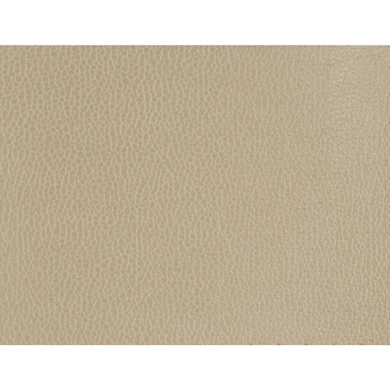 KRAVET DESIGN - KRAVET DESIGN- GILLIAN-1616 - Fabric by the Yard GILLIAN-1616