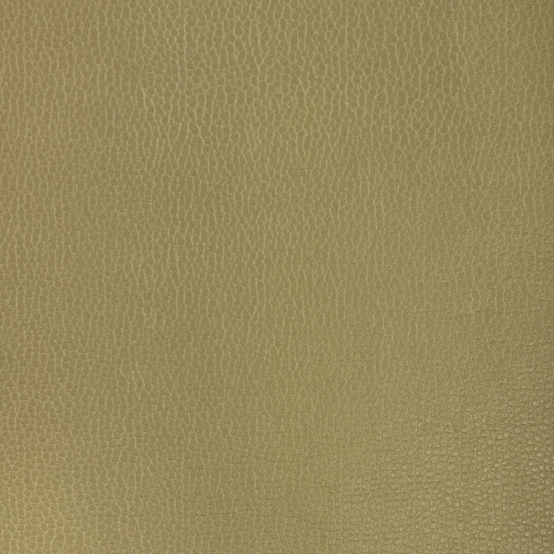 KRAVET DESIGN - KRAVET DESIGN - GILLIAN-23 - Fabric By The YARD