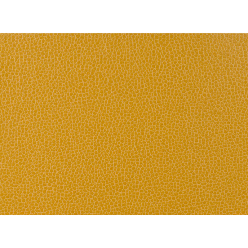 KRAVET DESIGN - KRAVET DESIGN- GILLIAN-414 - Fabric by the Yard GILLIAN-414