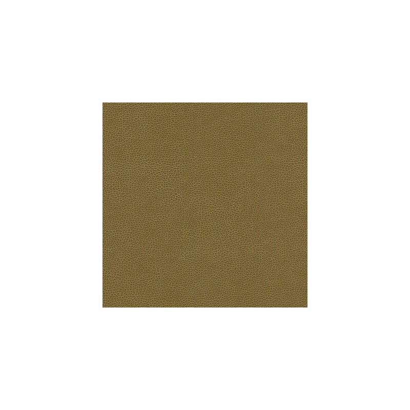 KRAVET DESIGN - KRAVET DESIGN- GILLIAN-606 - Fabric by the Yard GILLIAN-606