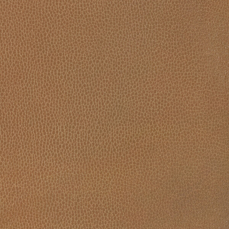 KRAVET DESIGN - KRAVET DESIGN - GILLIAN-6116 - Fabric By The YARD