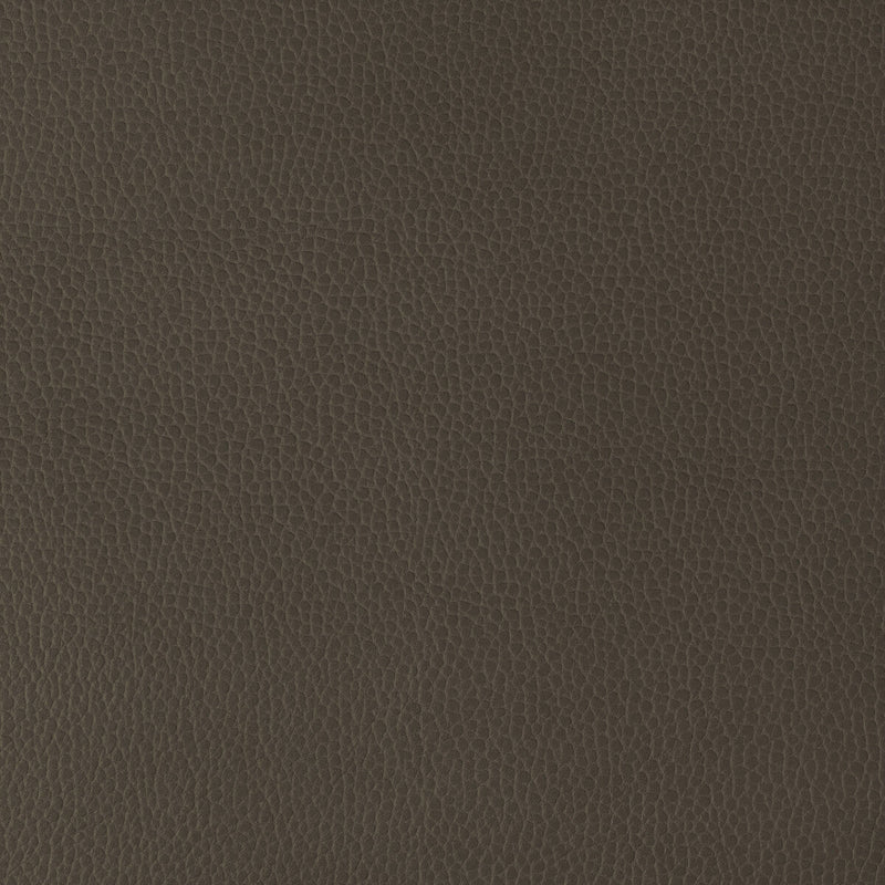 KRAVET DESIGN - KRAVET DESIGN- GILLIAN-6666 - Fabric by the Yard GILLIAN-6666