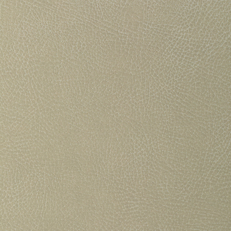KRAVET DESIGN - KRAVET DESIGN- GLENDALE-1111 - Fabric by the Yard GLENDALE-1111