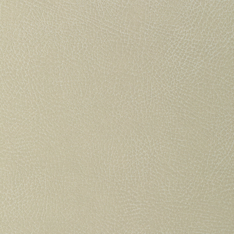 KRAVET DESIGN - KRAVET DESIGN- GLENDALE-111 - Fabric by the Yard GLENDALE-111