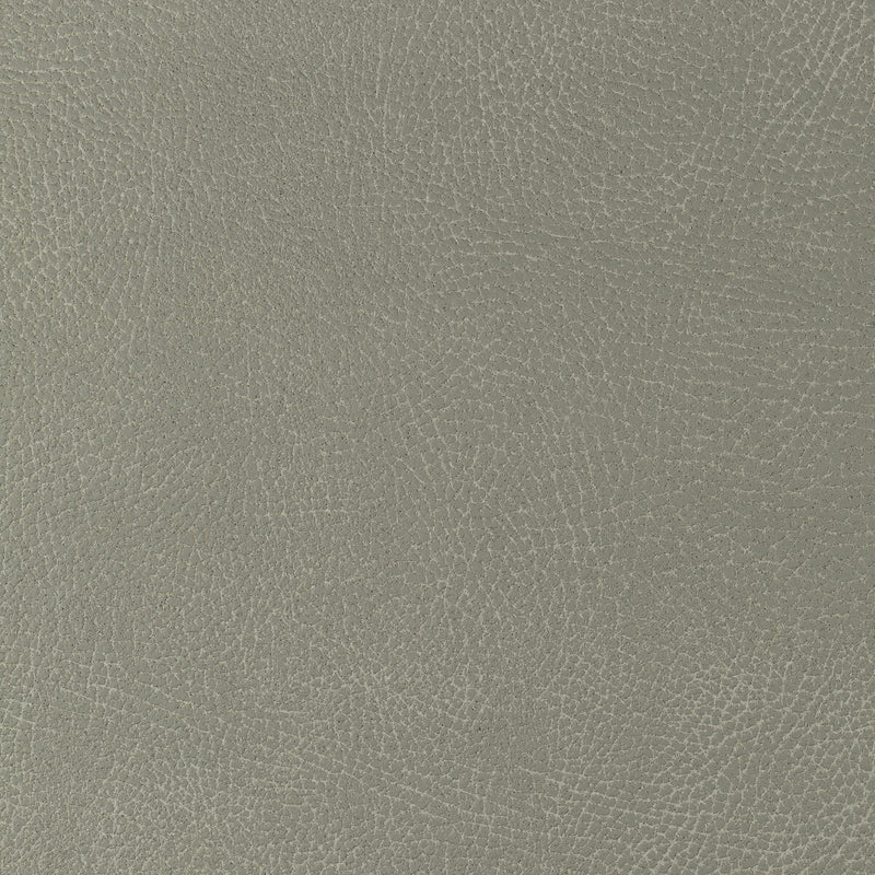 KRAVET DESIGN - KRAVET DESIGN- GLENDALE-1121 - Fabric by the Yard GLENDALE-1121