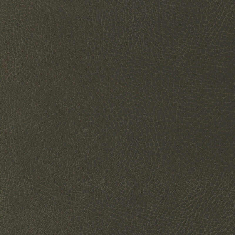 KRAVET DESIGN - KRAVET DESIGN- GLENDALE-21 - Fabric by the Yard GLENDALE-21