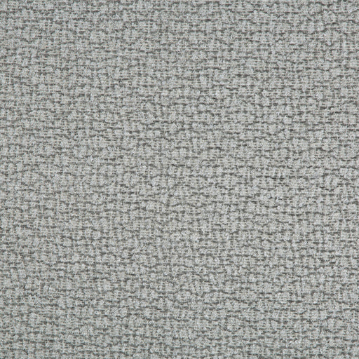 LEE JOFA MODERN - RIOS- CINDER - Fabric by the Yard CINDER