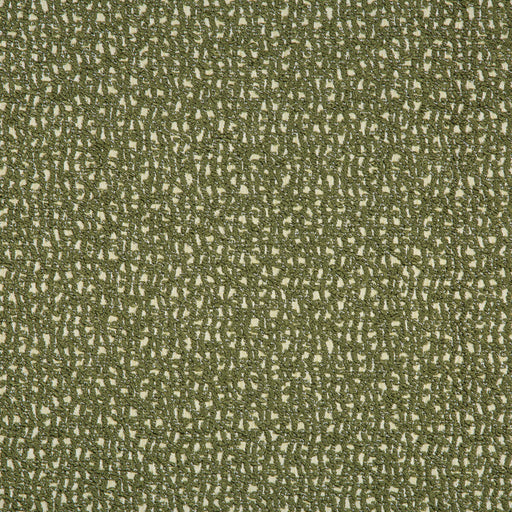LEE JOFA MODERN - SERRA- CHIVE - Fabric by the Yard CHIVE