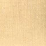 LEE JOFA MODERN - PRAIRIE TEXTURE- IVORY - Fabric by the Yard
