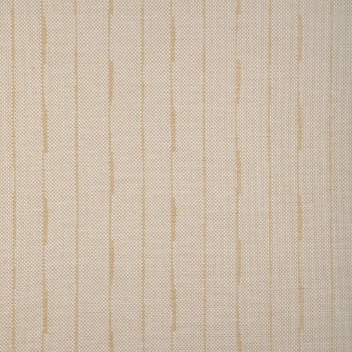 LEE JOFA MODERN - STIRO- GOLDEN - Fabric by the Yard GOLDEN