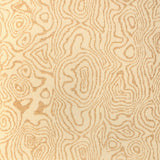 LEE JOFA MODERN - ATLAS- DUNE - Fabric by the Yard
