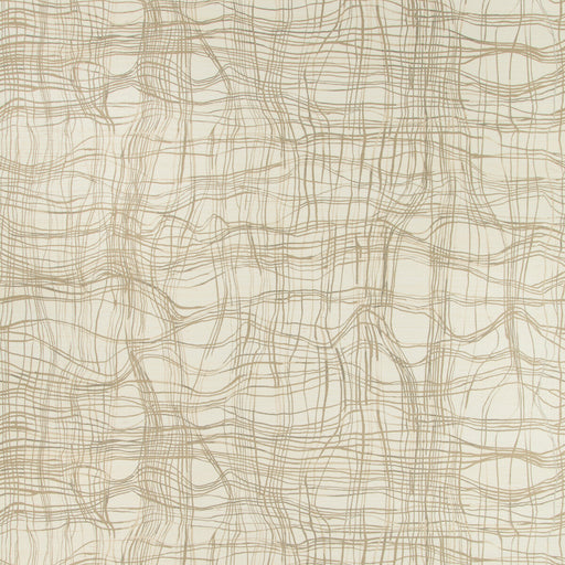 LEE JOFA MODERN - ENTANGLE PAPER- ALMOND - Wallcovering by the Roll ALMOND