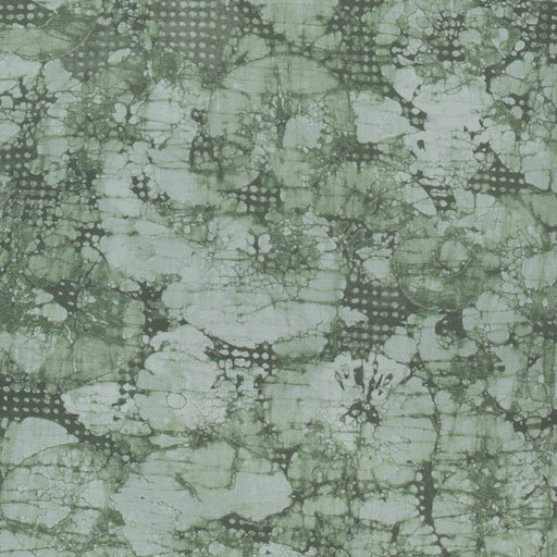 LEE JOFA MODERN - MINERAL PAPER- ALGAE - Wallcovering by the Roll ALGAE