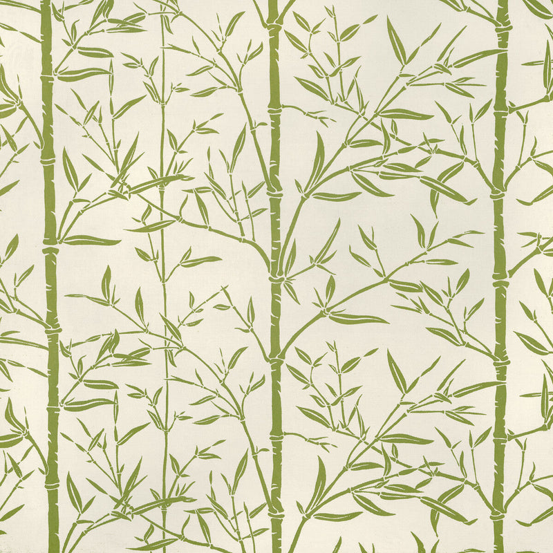 KRAVET COUTURE - HS BAMBOO- CACTUS - Fabric by the Yard CACTUS