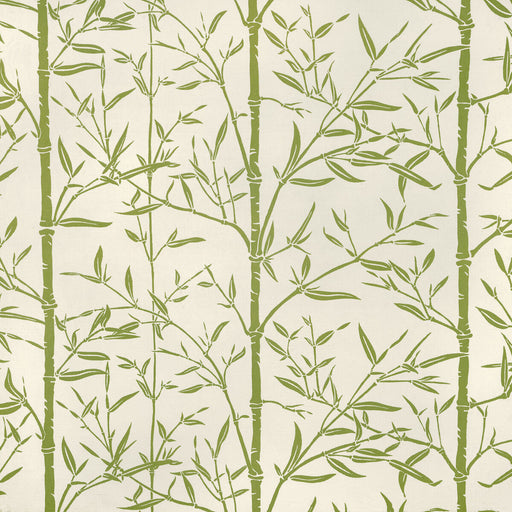 KRAVET COUTURE - HS BAMBOO- CACTUS - Fabric by the Yard CACTUS