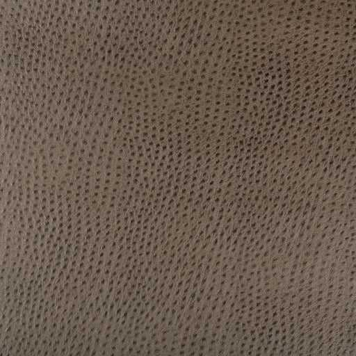 KRAVET DESIGN - KRAVET DESIGN- HUBBLE-106 - Fabric by the Yard HUBBLE-106