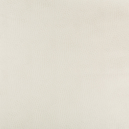 KRAVET DESIGN - KRAVET DESIGN- HUBBLE-111 - Fabric by the Yard HUBBLE-111