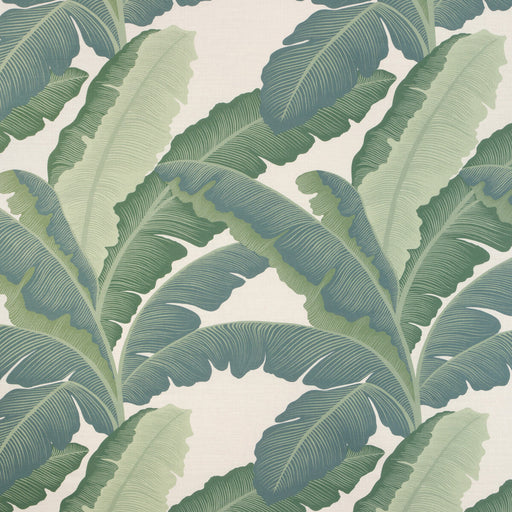 KRAVET COUTURE - ISLA ROYAL- VERDE - Fabric by the Yard VERDE
