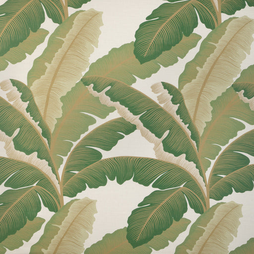 KRAVET COUTURE - ISLA ROYAL- GOLDEN PALM - Fabric by the Yard GOLDEN PALM