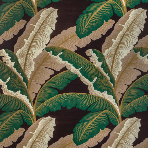 KRAVET COUTURE - ISLA ROYAL- CACAO - Fabric by the Yard CACAO