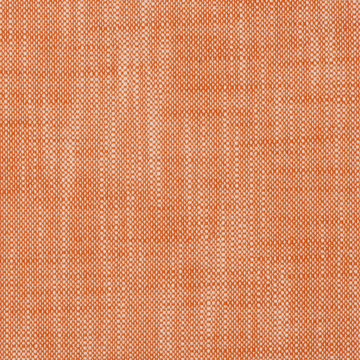 InsideOut FRANCES CITRUS