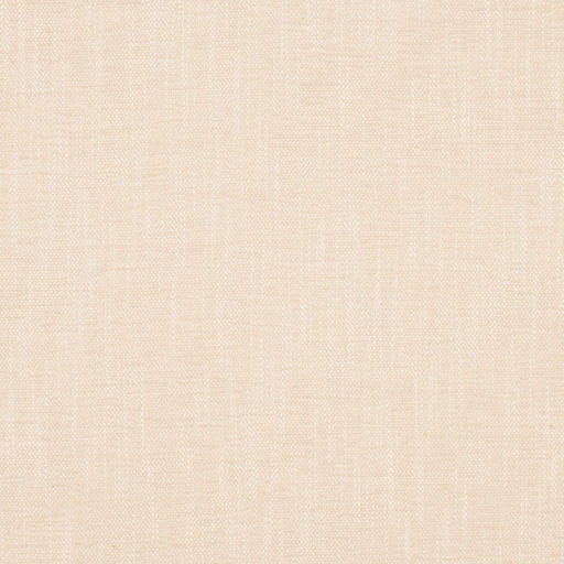 InsideOut LOLLY PARCHMENT