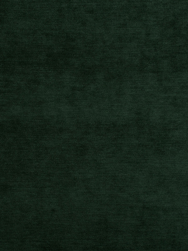 FTS-01799 - Fabric By The Yard - Samples Available by Request - Fabrics and Drapes