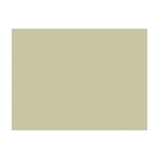 BRUNSCHWIG & FILS - JOUR- PEWTER - Fabric by the Yard PEWTER