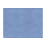 BRUNSCHWIG & FILS - SUKHOTHAI- PEARL BLUE - Fabric by the Yard