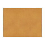 BRUNSCHWIG & FILS - SUKHOTHAI- APRICOT - Fabric by the Yard