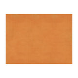 BRUNSCHWIG & FILS - SUKHOTHAI- ARANCIA - Fabric by the Yard