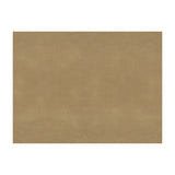 BRUNSCHWIG & FILS - SUKHOTHAI- TAN - Fabric by the Yard