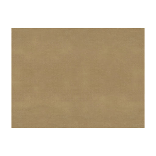 BRUNSCHWIG & FILS - SUKHOTHAI- TAN - Fabric by the Yard TAN
