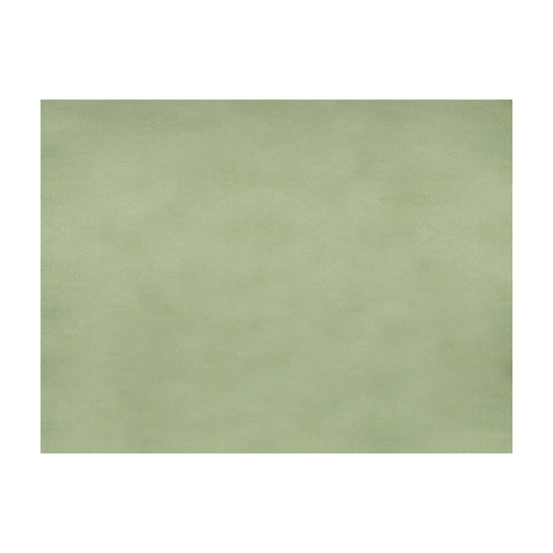 BRUNSCHWIG & FILS - SUKHOTHAI- CELADON GREEN - Fabric by the Yard CELADON GREEN