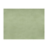 BRUNSCHWIG & FILS - SUKHOTHAI- CELADON GREEN - Fabric by the Yard