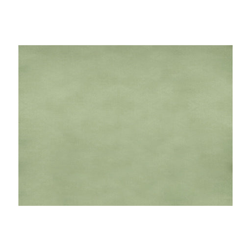 BRUNSCHWIG & FILS - SUKHOTHAI- CELADON GREEN - Fabric by the Yard CELADON GREEN