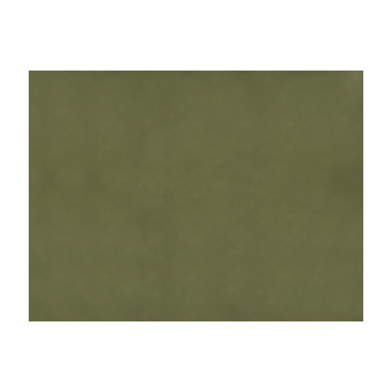 BRUNSCHWIG & FILS - SUKHOTHAI- OLIVE  - Fabric by the Yard OLIVE