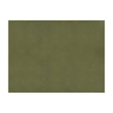 BRUNSCHWIG & FILS - SUKHOTHAI- OLIVE  - Fabric by the Yard