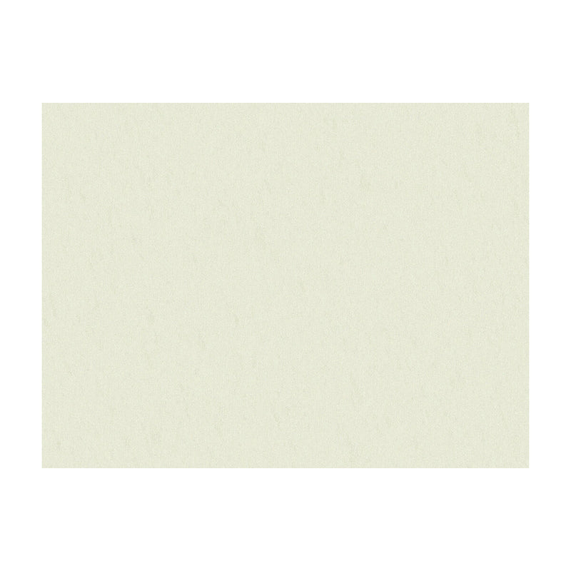 BRUNSCHWIG & FILS - SHOTS- PURE WHITE - Fabric by the Yard PURE WHITE