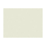 BRUNSCHWIG & FILS - SHOTS- PURE WHITE - Fabric by the Yard