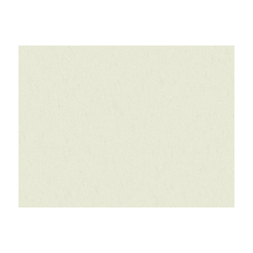 BRUNSCHWIG & FILS - SHOTS- PURE WHITE - Fabric by the Yard PURE WHITE