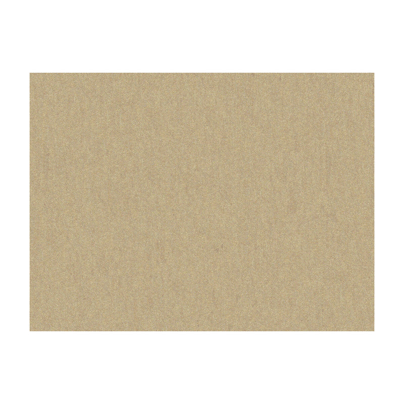 BRUNSCHWIG & FILS - SHOTS- PUMICE - Fabric by the Yard PUMICE