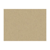 BRUNSCHWIG & FILS - SHOTS- PUMICE - Fabric by the Yard