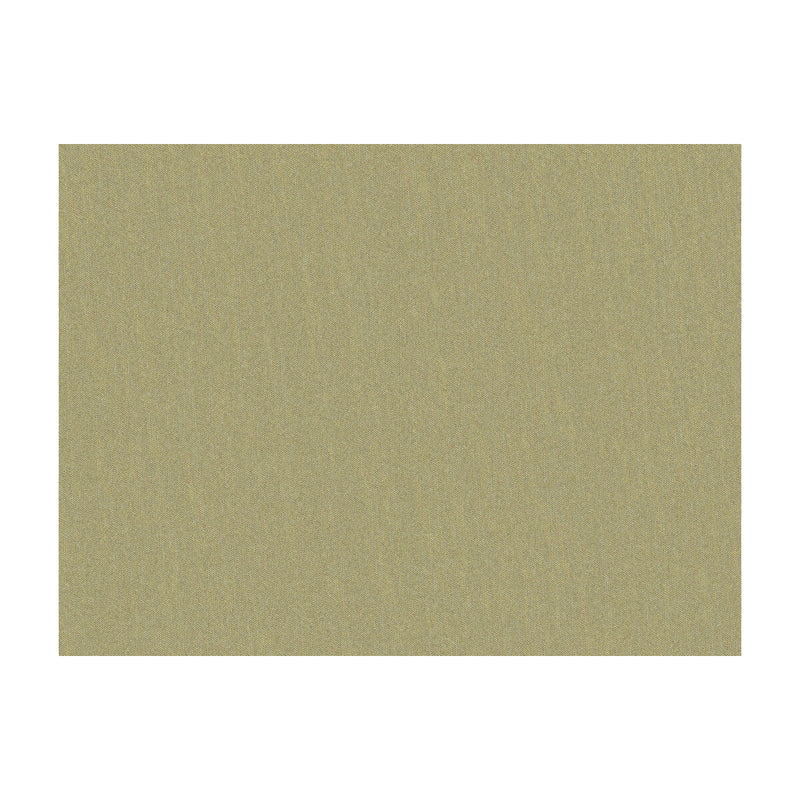 BRUNSCHWIG & FILS - SHOTS- GREIGE DORE - Fabric by the Yard GREIGE DORE