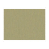 BRUNSCHWIG & FILS - SHOTS- GREIGE DORE - Fabric by the Yard