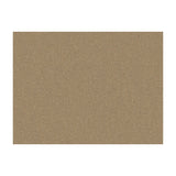 BRUNSCHWIG & FILS - SHOTS- PUTTY - Fabric by the Yard