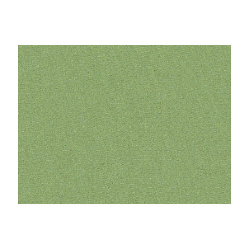 BRUNSCHWIG & FILS - SHOTS- TARRAGON - Fabric by the Yard TARRAGON