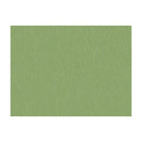 BRUNSCHWIG & FILS - SHOTS- TARRAGON - Fabric by the Yard