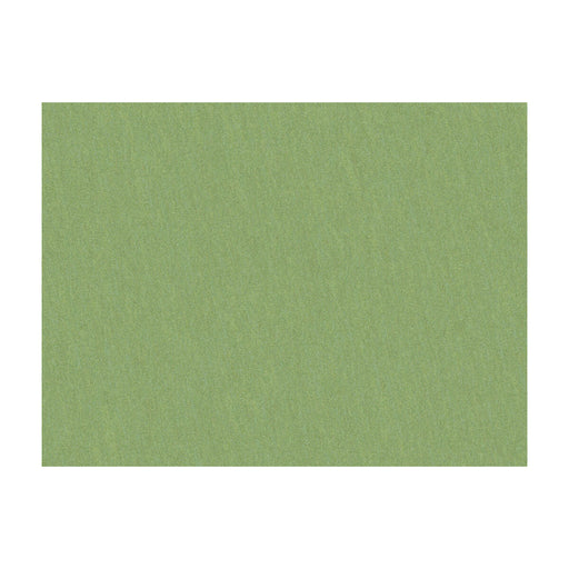 BRUNSCHWIG & FILS - SHOTS- TARRAGON - Fabric by the Yard TARRAGON