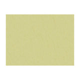 BRUNSCHWIG & FILS - SHOTS- SPANISH MOSS - Fabric by the Yard